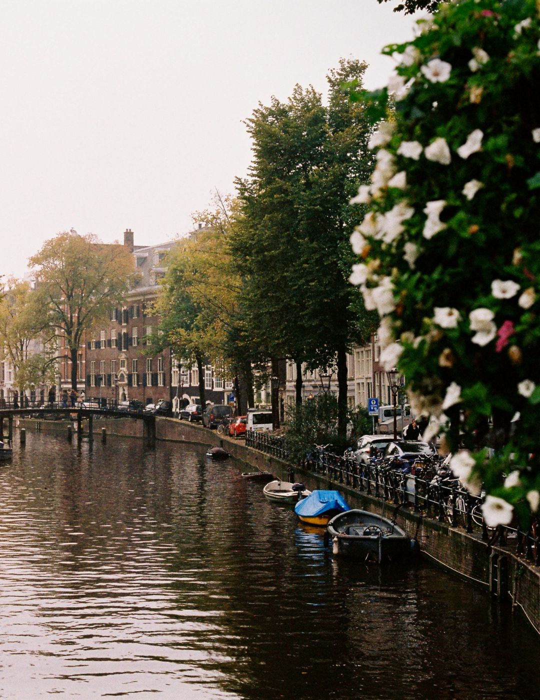 Iconic amsterdam canal view with flowers in the foreground, seen near the ambassade hotel on the herengracht.
