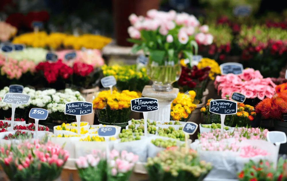 Springtime activities in amsterdam