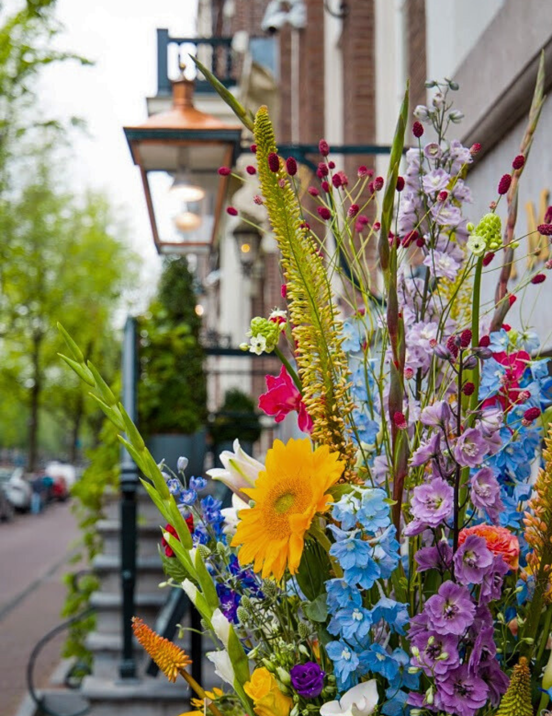 Fleurs d’été colorées à l’entrée de l’hôtel Ambassade à Amsterdam lors d’une journée d’été.