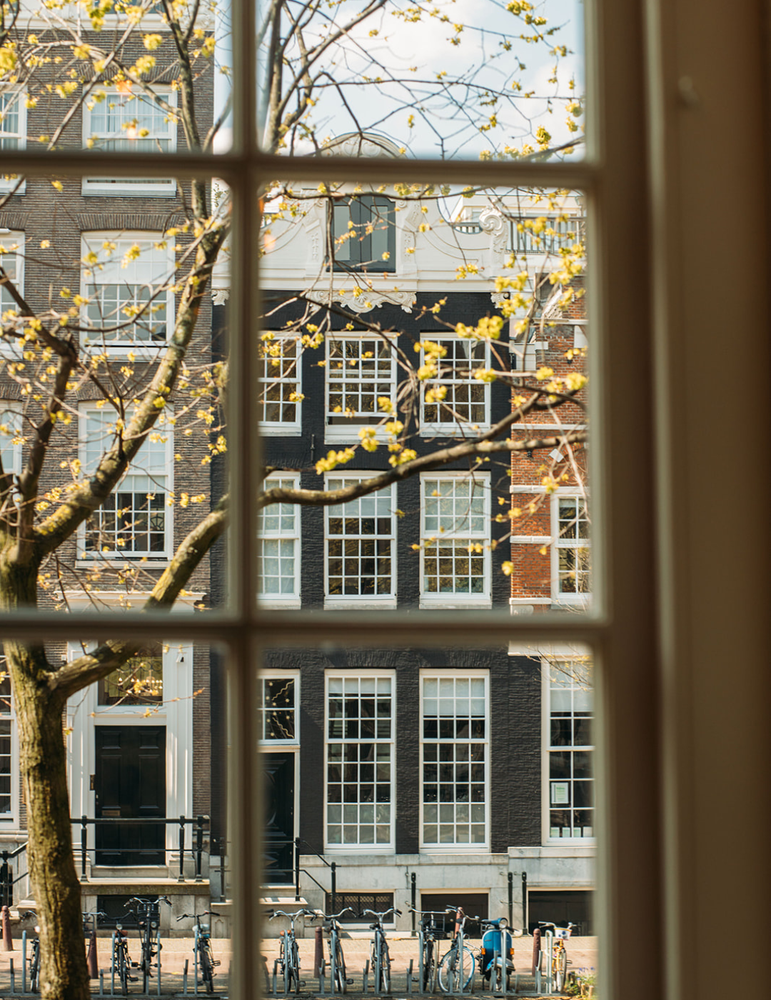 View from an ambassade hotel room overlooking canal houses and blossoming spring trees in amsterdam.