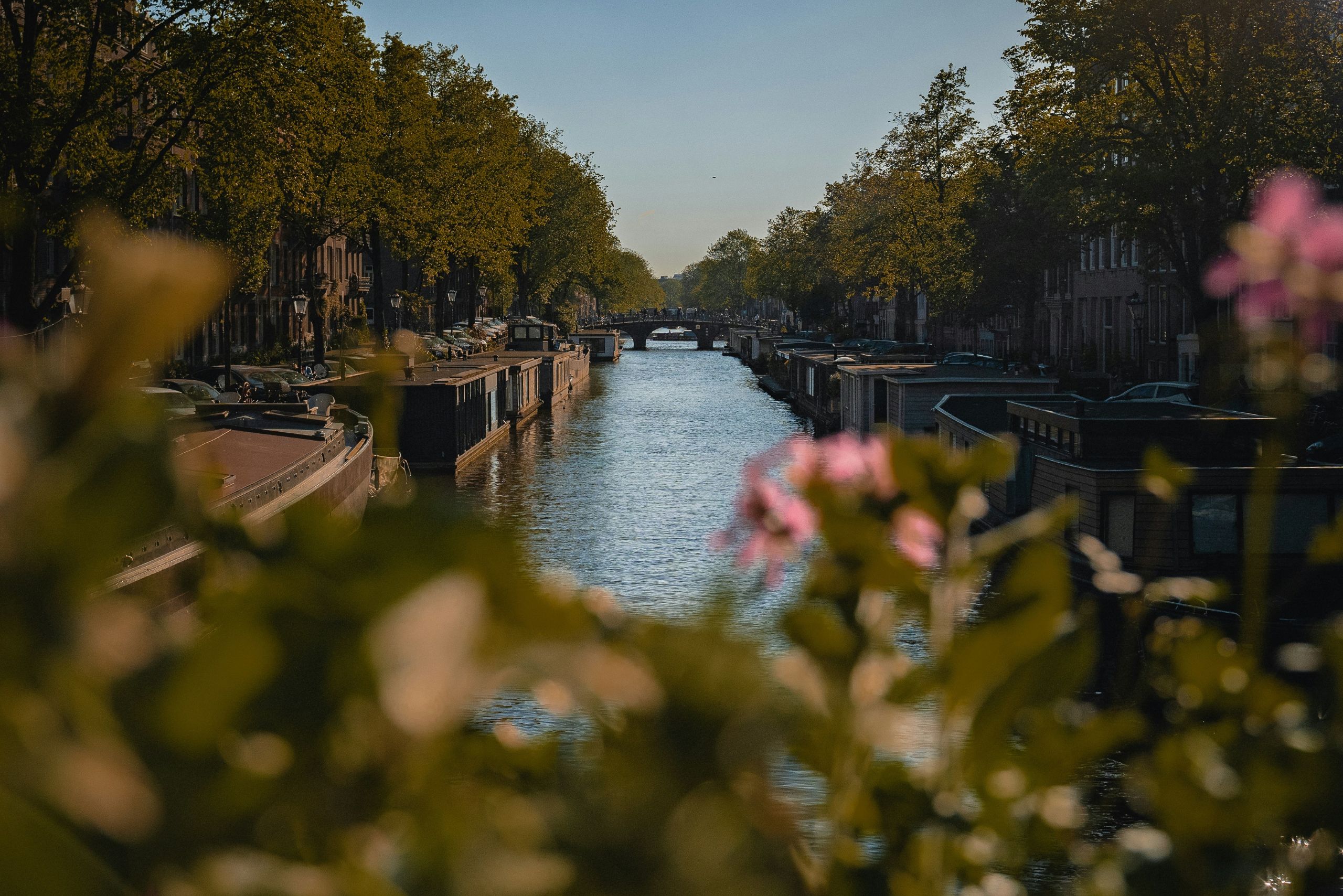 Vue d'été ensoleillée sur le canal d'Amsterdam près de l'hôtel Ambassade.