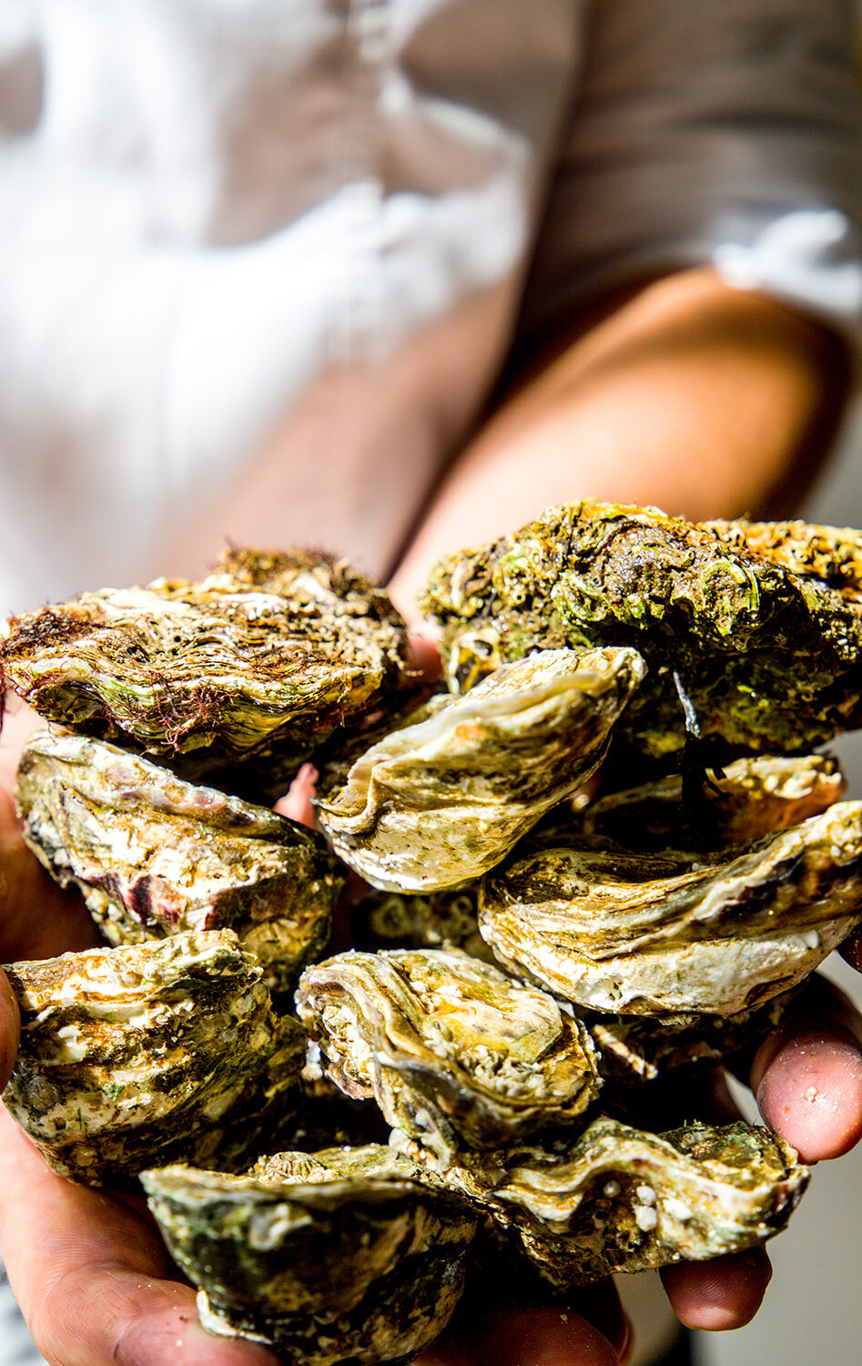 Gros plan sur des huîtres crues fraîches utilisées comme ingrédients à la Brasserie Ambassade à Amsterdam.