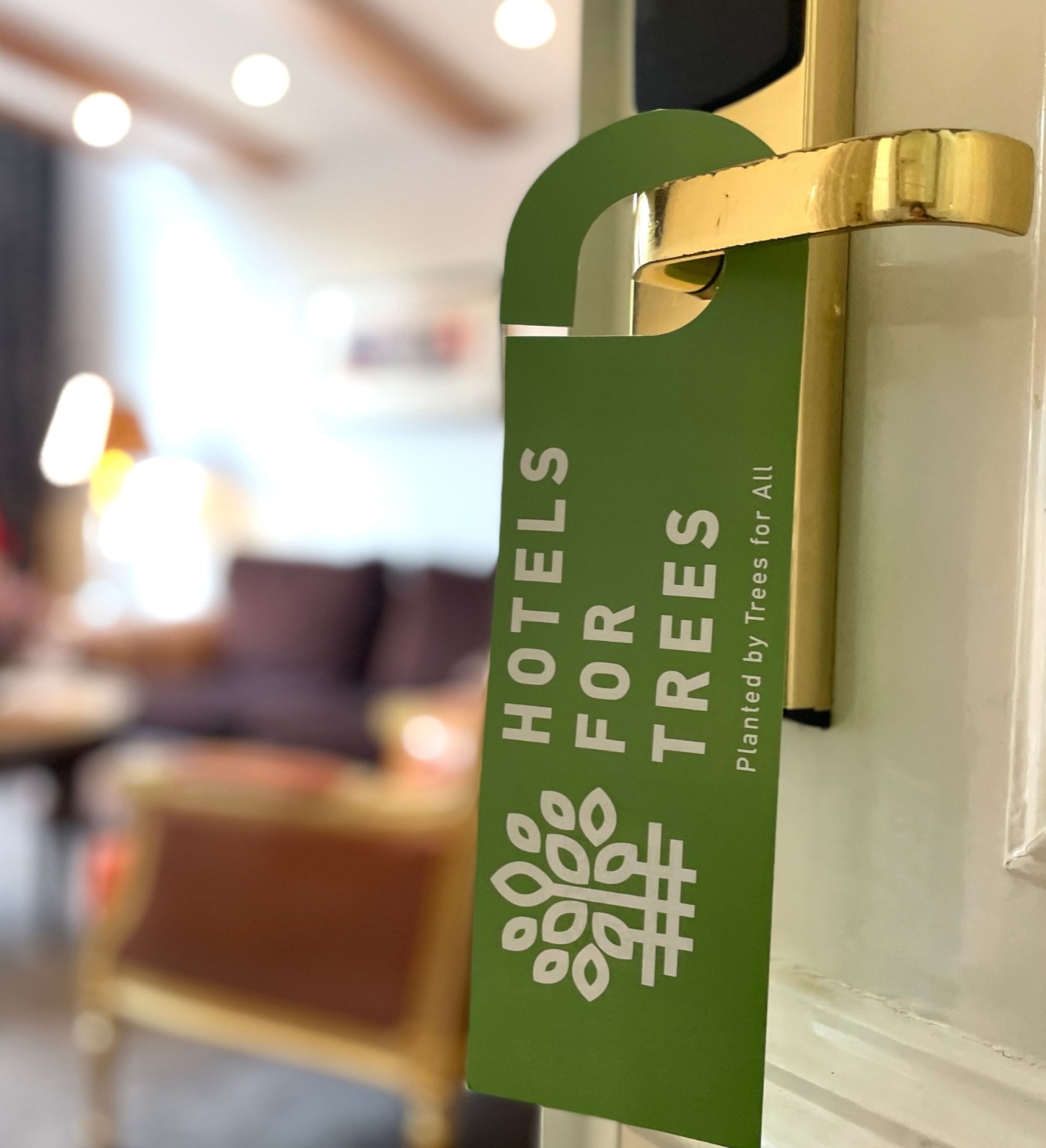 L'Ambassade Hotel soutient Hotels for Trees et plante un arbre pour chaque jour où les clients choisissent de renoncer au service de ménage.