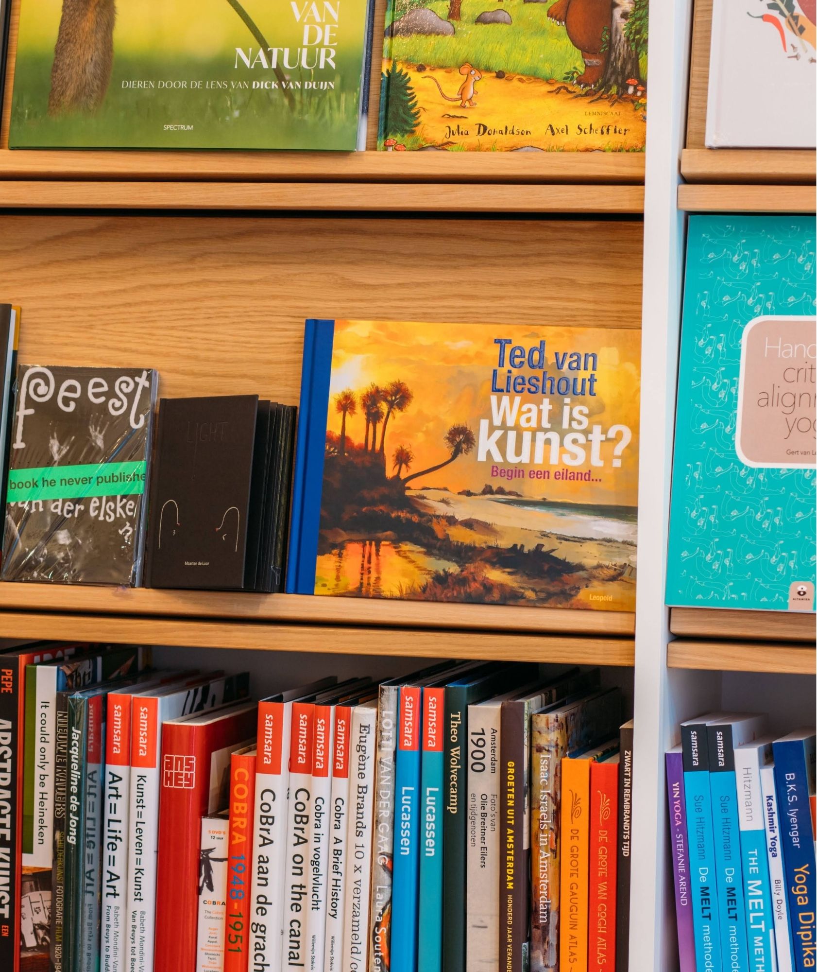 Bookshelf with colorful books, including